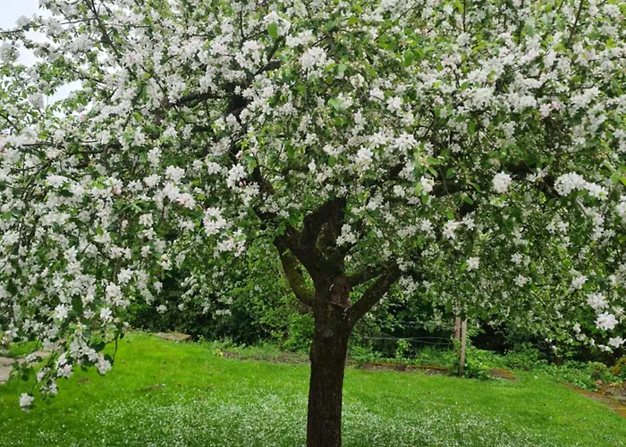 L'escale Champetre 3* Uhrwiller